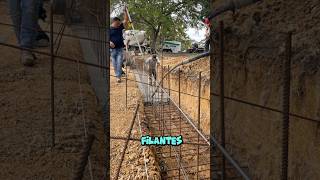 Semelle Filante En Zone Sismique #shorts #construction #btp #seismicactivity #semelle #aaronbanza