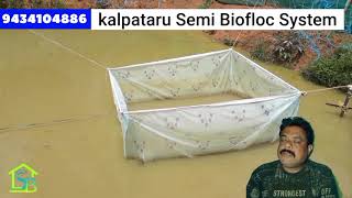 Semi biofloc fish farming in west bengal, Kharagpur/ 1,50,000 Carp fish in semi biofloc pond 