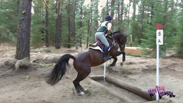 Misty Payne; Equestrians Institute HT Sept 2017