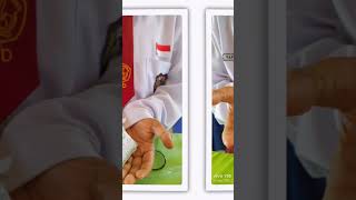 Aliran Energi dan Piramida Ekologi#ipasd #rantaimakanan