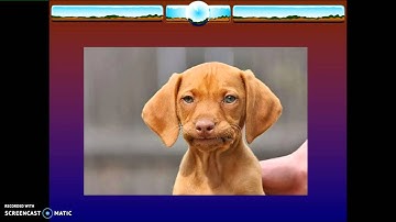 PBS Flipped Classroom - Span. 1 - Chpt. 6 - Indirect Obj. Pr