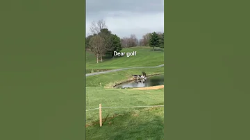 0 Survival Instincts 