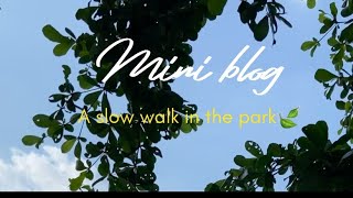 Soft Park Moments 🌿 | 17 Sec Aesthetic Vlog screenshot 5