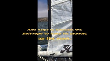 How to raise and lower a Hobie 20 Catamaran Mainsail