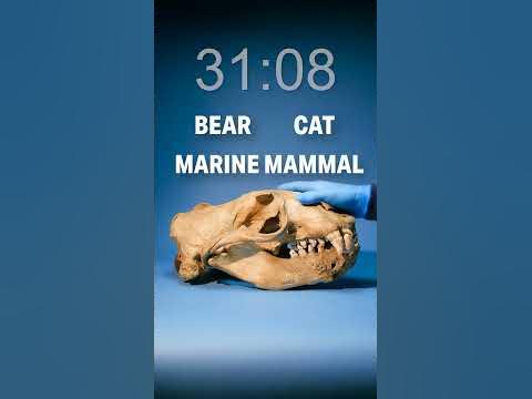 Did you get it right? What time? - YouTube