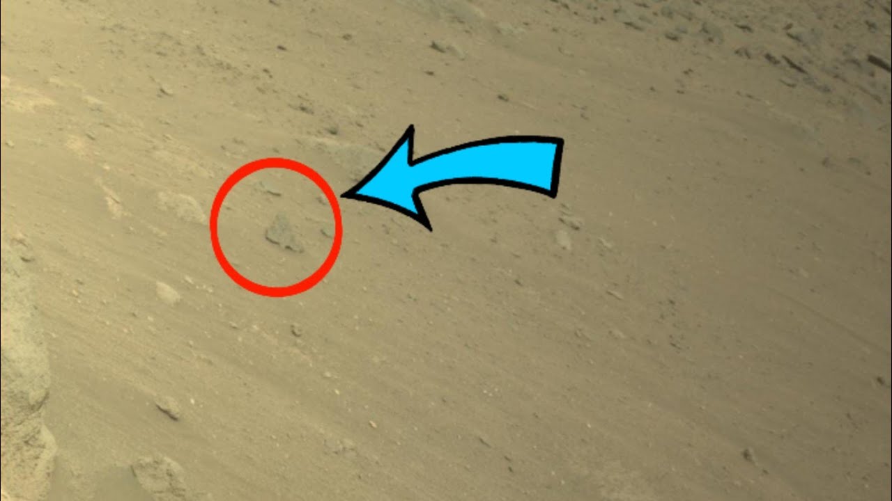 Expedition Insights on Mars