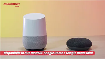 Dove posso comprare Google Home?