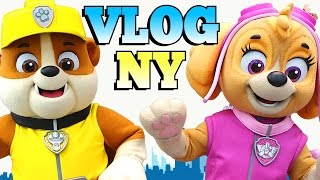 DCTC meets Paw Patrol in real life while exploring New York City thumbnail