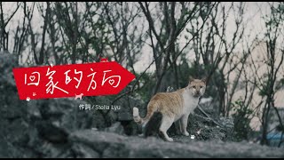 台灣動物緊急救援小組《回家的方向》ARTT Official MV｜關心流浪毛小孩公益歌曲