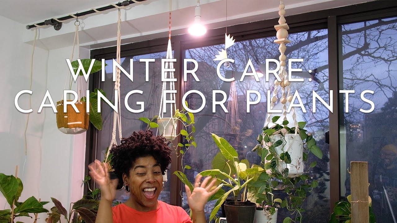 Winter Care: Caring For Plants + Diy Grow Light