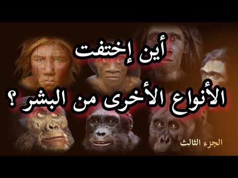 لغز الأنواع المفقودة هل نكون آخر البشر على وجه الأرض تاريخ البشرية