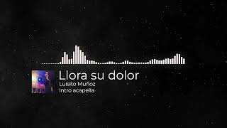 Llora su dolor - Luisito Muñoz [Intro acapella]