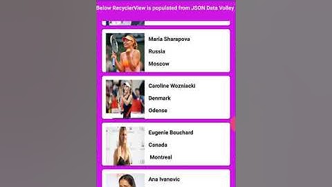 Android JSON Parse using Volley and display in RecyclerView