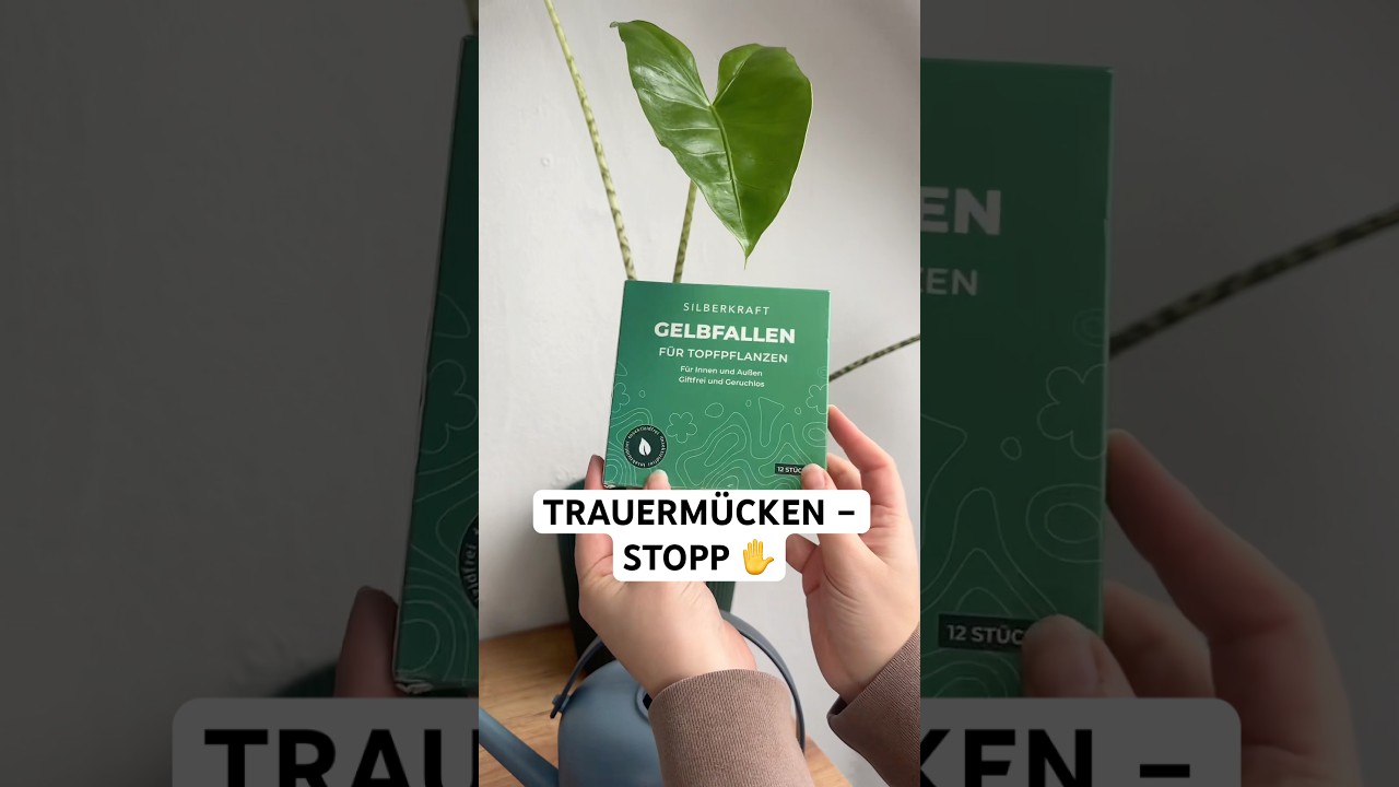 quarzsand fr zimmerpflanzen Grober Quarzsand  mineralische Krnung und Topfgewicht