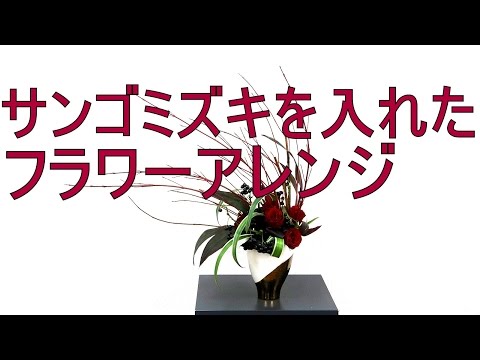 サンゴミズキ 珊瑚水木 のまとめ 育て方 剪定や挿し木 と花言葉等8個のポイント 植物の育て方や豆知識をお伝えするサイト