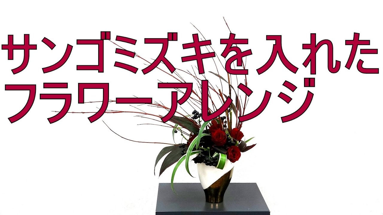 サンゴミズキ 珊瑚水木 のまとめ 育て方 剪定や挿し木 と花言葉等8個のポイント 植物の育て方や豆知識をお伝えするサイト