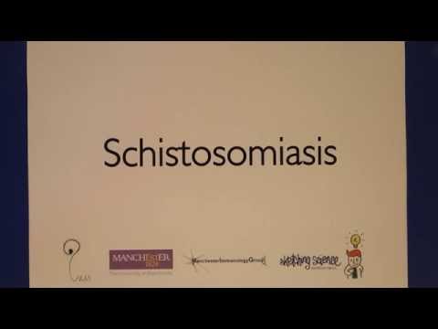 Video: Pathophysiologie Der Sepsis-induzierten Myokardfunktionsstörung