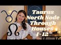 North Node in Taurus, South Node in Scorpio Through The Houses: Cultivating PATIENCE + ABUNDANCE ♉