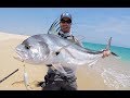 Crazy Roosterfish action with double hook up!