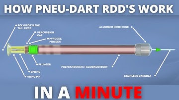 Learn How Pneu-Dart RDD Devices Work In A Minute