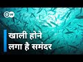 इंसान कितनी मछलियां खा रहे हैं, देखिए [What is overfishing?]