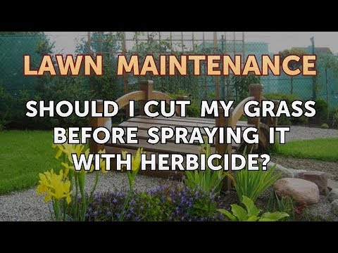 Should I Cut My Grass Before Spraying It With Herbicide?