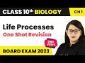 Life Processes Class 10 Science Biology One Shot | Life Processes Class 10 Science Biology