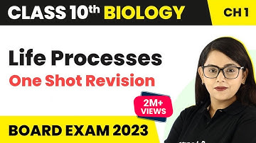 Life Processes Class 10 Science Biology One Shot | Life Processes Class 10 Science Biology 2022-23