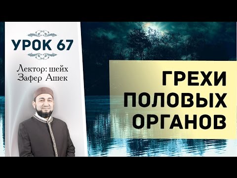 Урок 67. Грехи половых органов - шейх Зафер Ашек