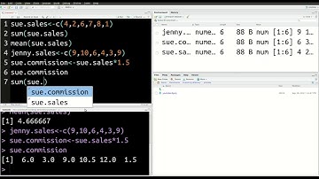 Vectors and Functions in R