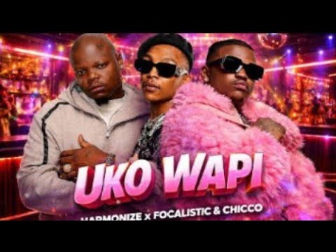 Harmonize Ft Focalistic Chicco Uko Wapi Official Video Music 