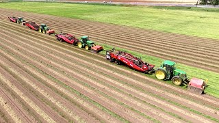 Harvest Of First Year Onion Sets John Deere Vss Amac Vru Xl Plantuien Oogst Loonbedrijf Svz