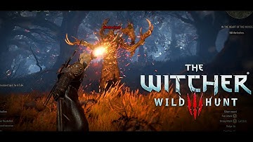 In the Heart of the Woods- Both Ending || Witcher Contract || #witcher3 #leshen #geraltofrivia #4k