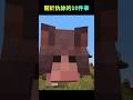 關於犰狳的十件事｜Minecraft #鬼鬼 #shorts