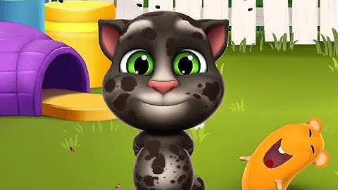 Talking Tom 2 is live! Thursday night Nov 13 part 2