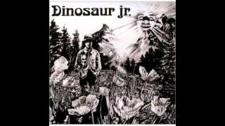 Dinosaur Jr. - Cats in a Bowl