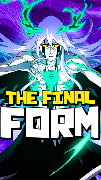 The Final Transformation for Hollows in BLEACH is... BEYOND Resurrection Explained