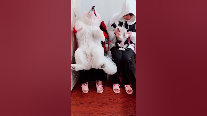 整段垮掉！我也不懂为啥跳着跳着就打起来了#shorts