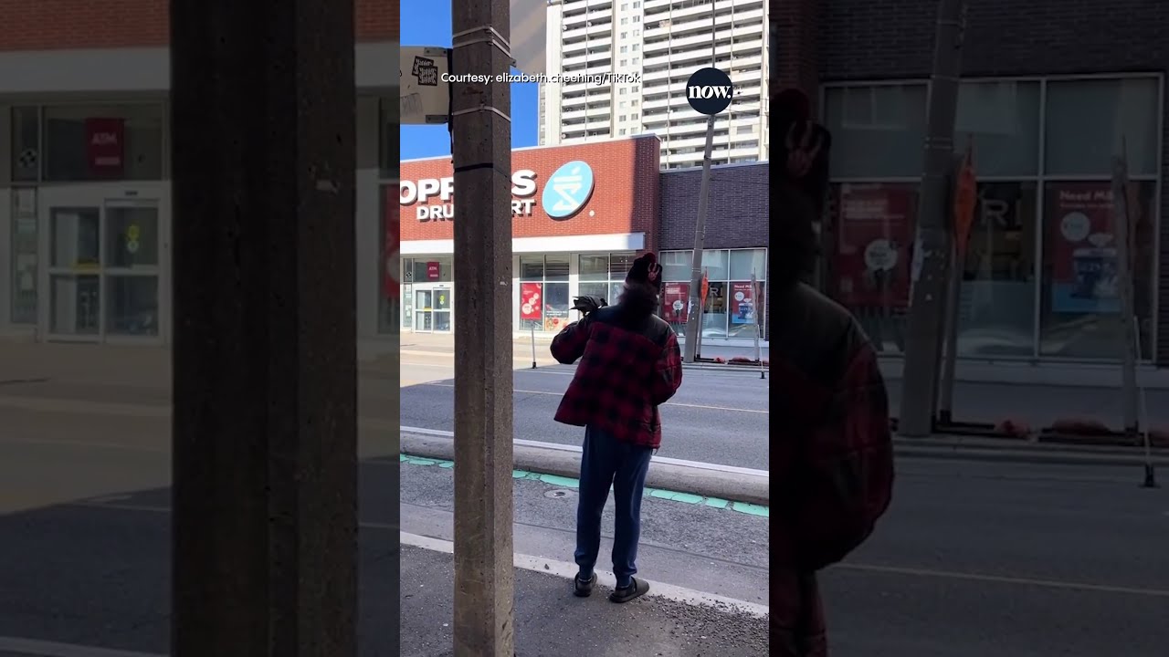 Torontonians Are Feeding Pigeons Despite Violating City Laws