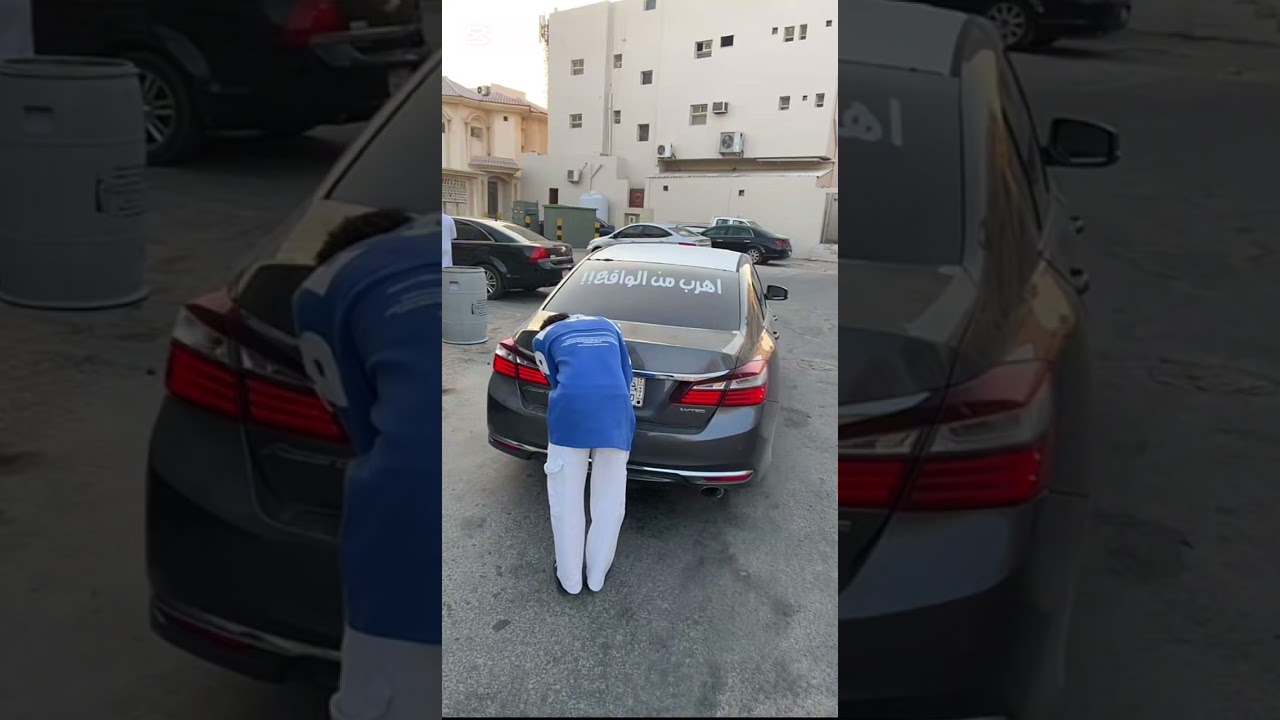 جرحتك ردت اشوف بكلبك 