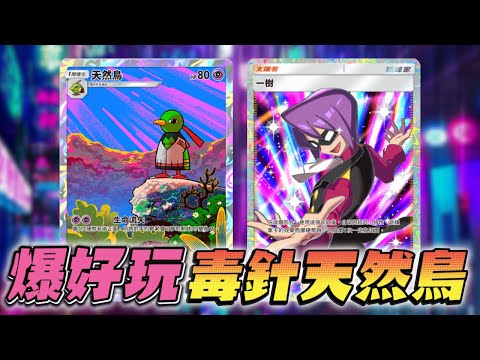 天然鳥拯救了Pocket🦜遙控骰子支援者一樹登場🎲毒針是最佳神隊友🔥【天然鳥牌組】【天與海的指引】寶可夢卡牌