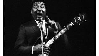 Muddy Waters- Everything Is Gonna Be Alright (Live) chords
