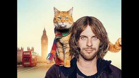 『ボブという名の猫　幸せのハイタッチ』映画オリジナル予告編