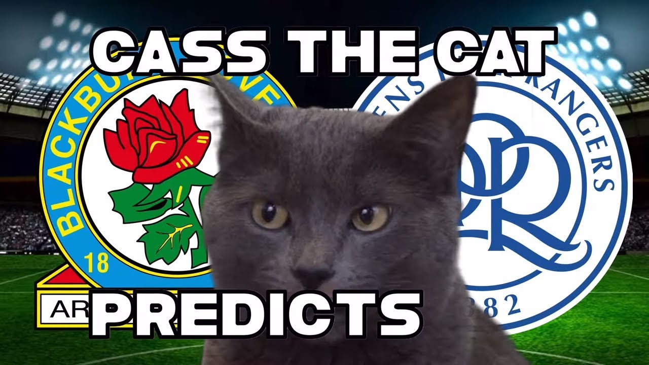 EFL Championship 2019/20 Blackburn Rovers vs Queens Park Rangers Prediction YouTube