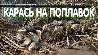 видео: Весенний карась на поплавок. Дядя Фёдор и самая первая снасть рыбака. картинка: Весенний карась на поплавок. Дядя Фёдор и самая первая снасть рыбака.