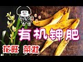 香蕉皮 - 简单易得的高效有机钾肥，花“吃”了之后疯长，以后都不用出门买肥料了！banana fertiliser