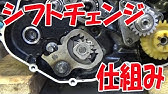Vlog003 おかえり こっちゃん Youtube Vlog003 おかえり こっちゃん Youtube