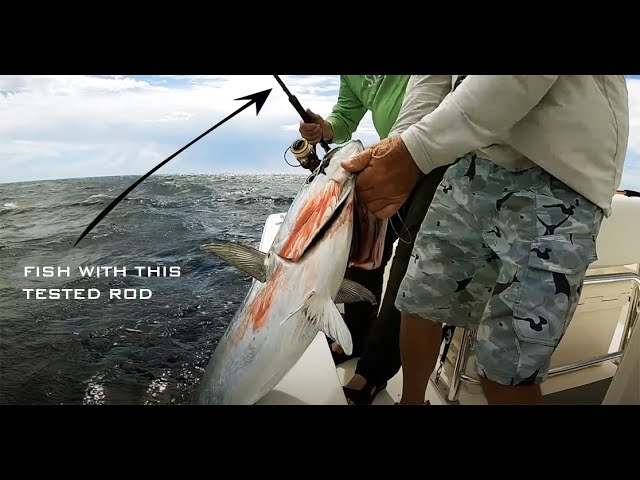 Saltwater Fishing Rods Anyone Can use! 