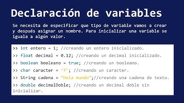 DECLARACION DE VARIABLES