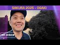 A MELHOR ÉPOCA PARA VISITAR O JAPÃO